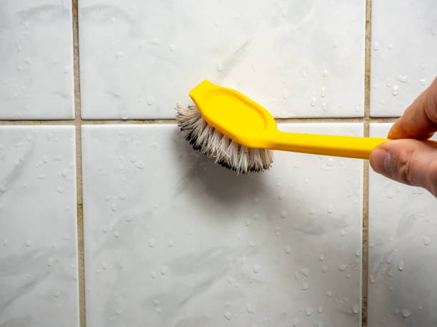 Best Post-Remediation Services in Mullens, WV