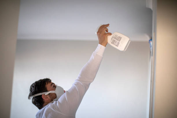 Best Industrial Mold Remediation in Mullens, WV