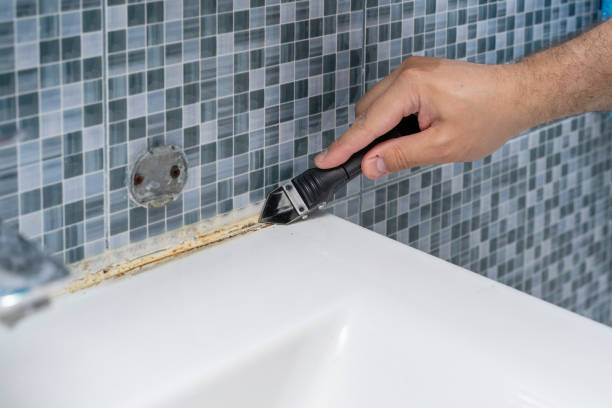 Trusted Mullens, WV Mold Remediation Experts
