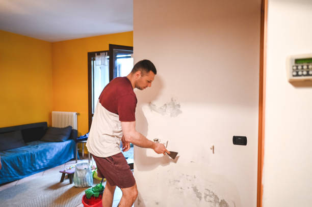 Best Bathroom Mold Remediation in Mullens, WV